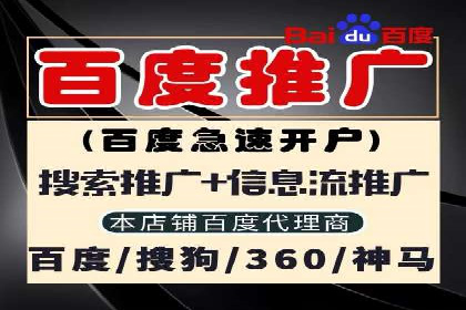 深入剖析SEM公司成功案例：数据驱动的广告策略